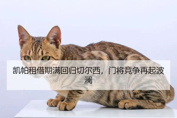 凯帕租借期满回归切尔西，门将竞争再起波澜